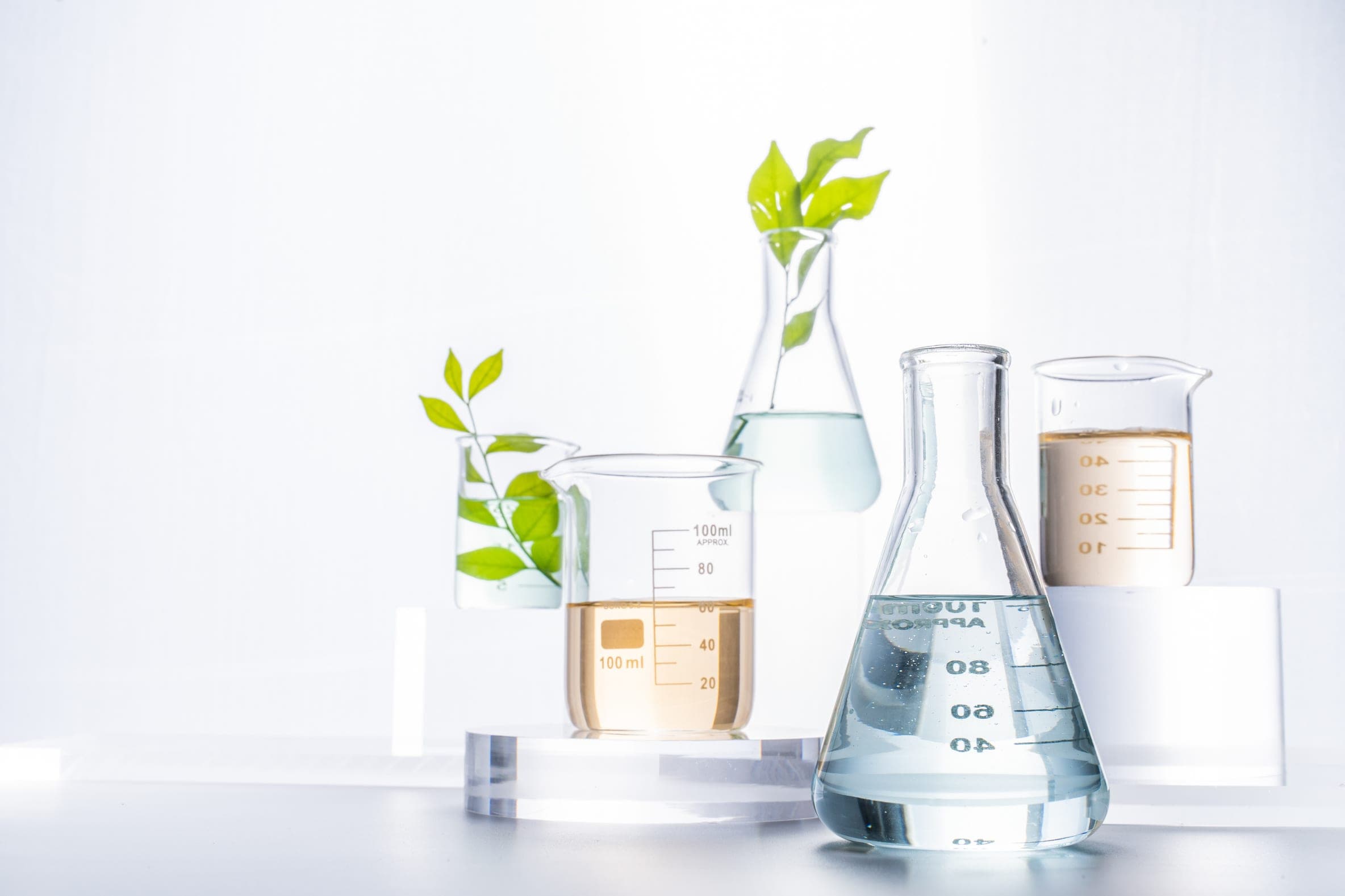 Laboratory glassware with green plant cuttings