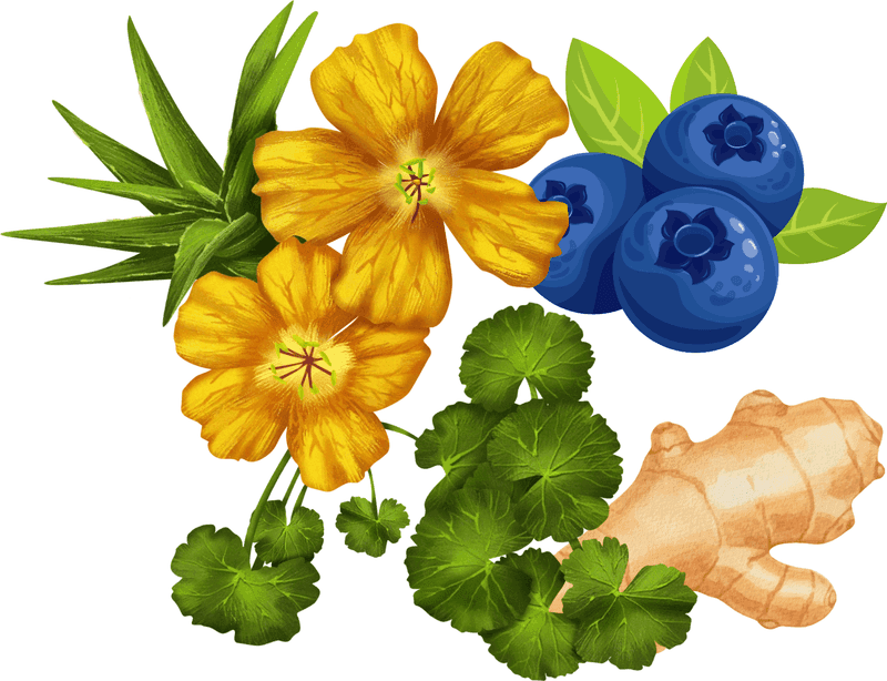 Yellow blossoms, blueberries, ginger and green leaves